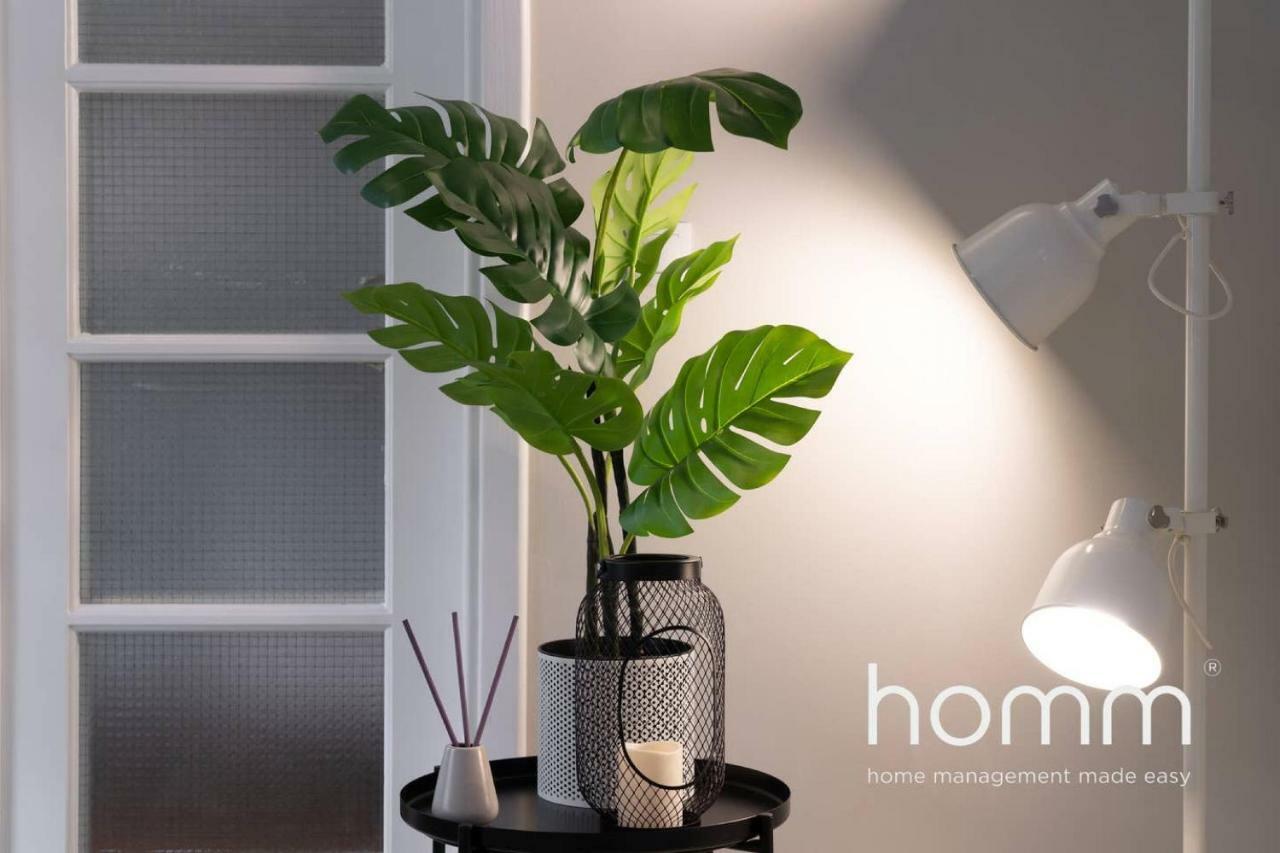 Nemeseos 1St Floor Homm Apartment With Roof Garden And Wading Pool 아테네 외부 사진